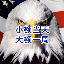 施秉要账公司